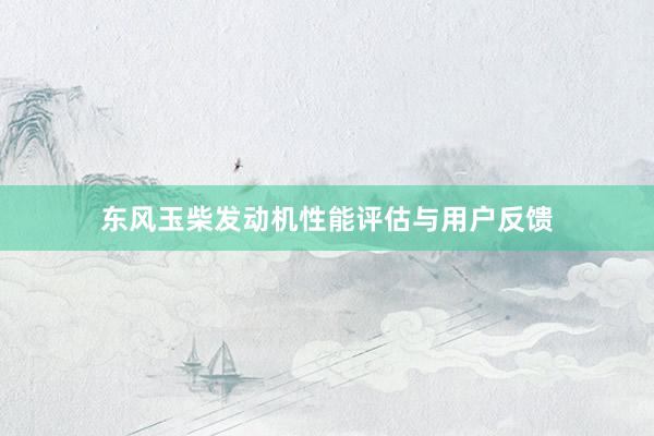 东风玉柴发动机性能评估与用户反馈
