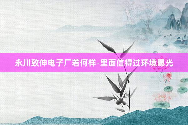 永川致伸电子厂若何样-里面信得过环境曝光