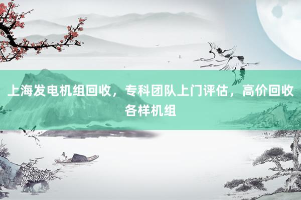 上海发电机组回收，专科团队上门评估，高价回收各样机组