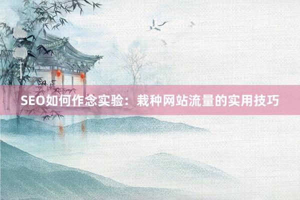 SEO如何作念实验：栽种网站流量的实用技巧