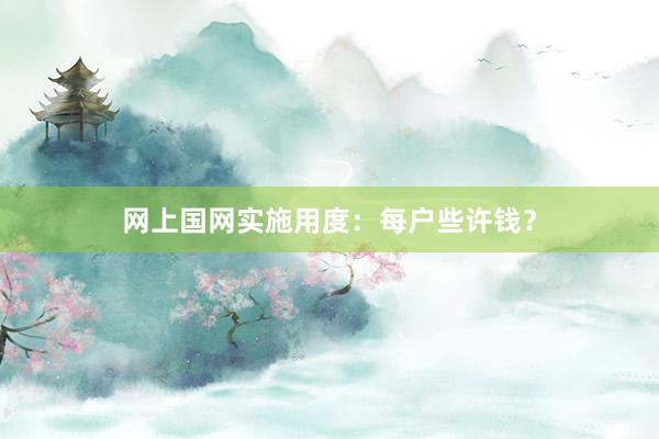网上国网实施用度：每户些许钱？