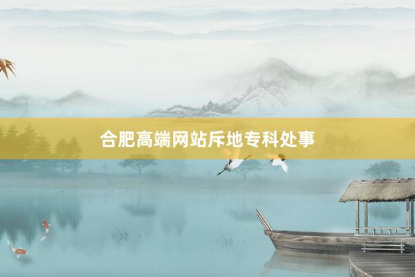 合肥高端网站斥地专科处事