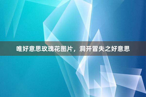 唯好意思玫瑰花图片，洞开冒失之好意思
